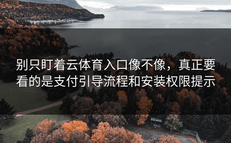 别只盯着云体育入口像不像,真正要看的是支付引导流程和安装权限提示 别只盯着云体育入口像不像,真正要看的是支付引导流程和安装权限提示