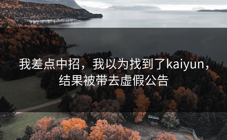 我差点中招,我以为找到了kaiyun,结果被带去虚假公告 我差点中招,我以为找到了kaiyun,结果被带去虚假公告